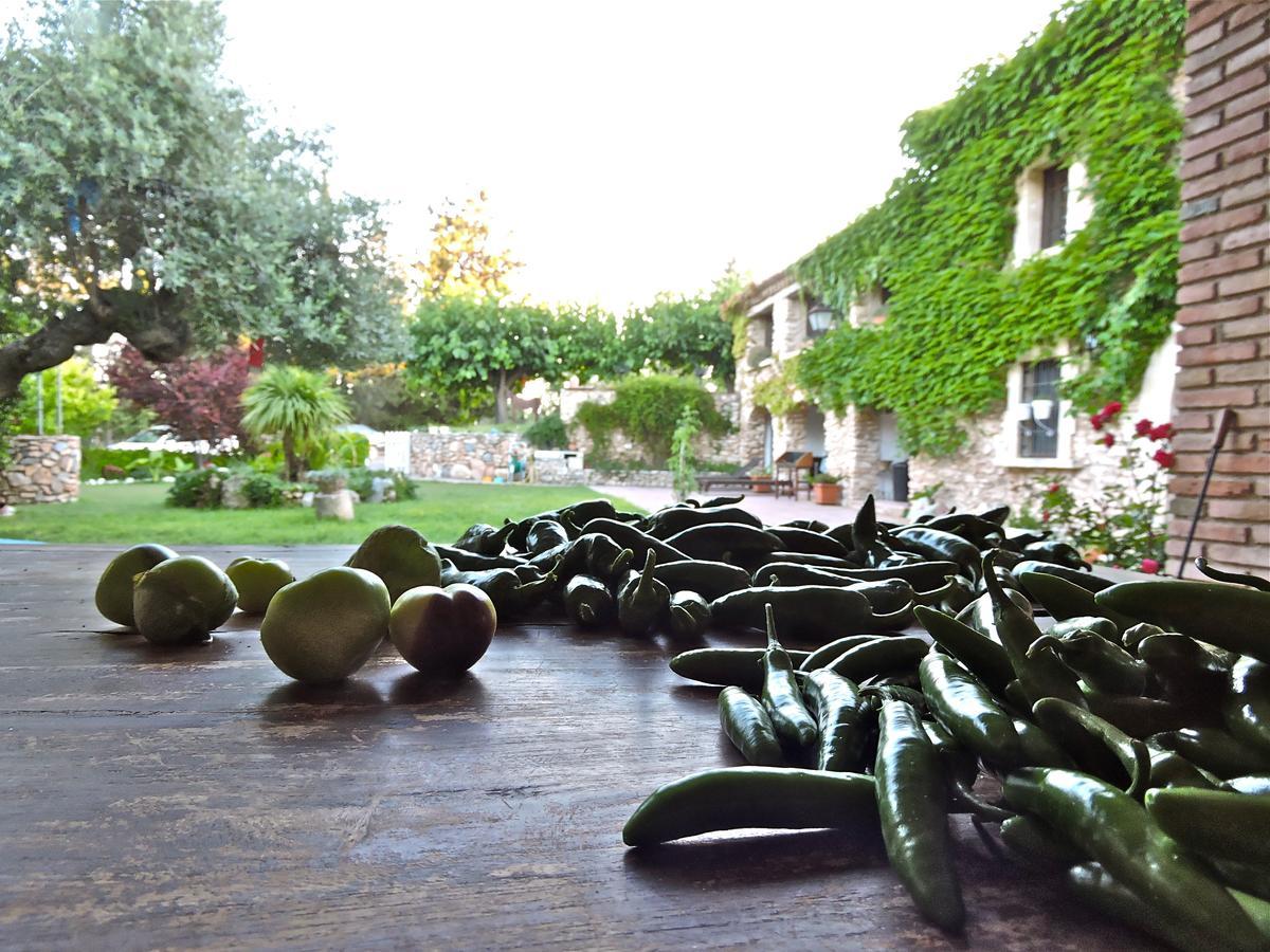 Chilliman & Mas Miro Biofarm Guest House Catllar Rom bilde